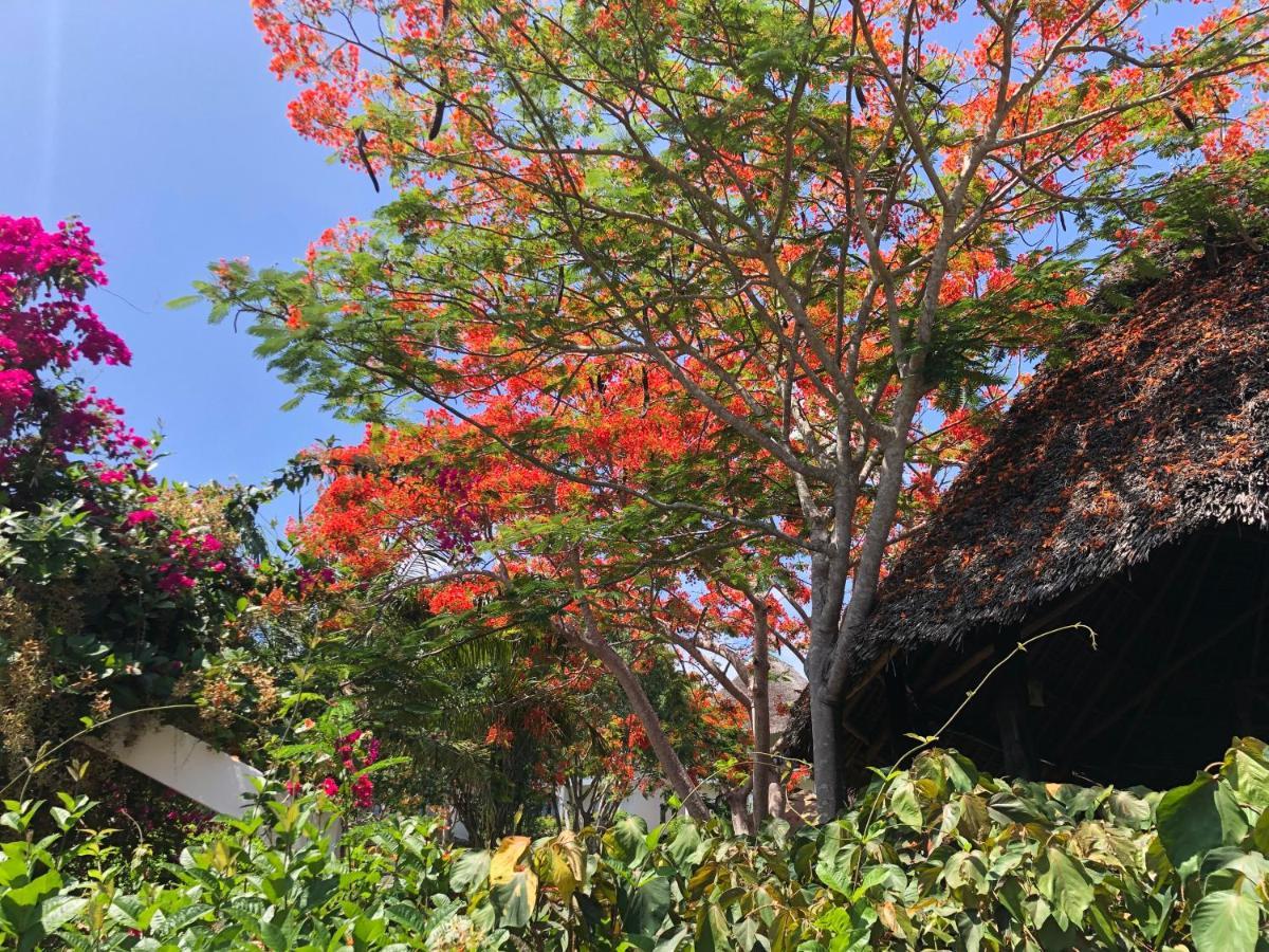 Bluebay & 5* Kiwengwa (Zanzibar)