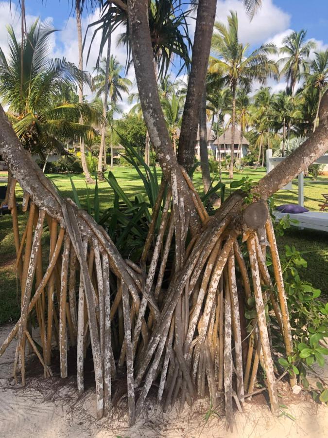 Hotel Bluebay & Kiwengwa (Zanzibar)